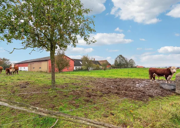 Stunning In With Wifi * Faaborg